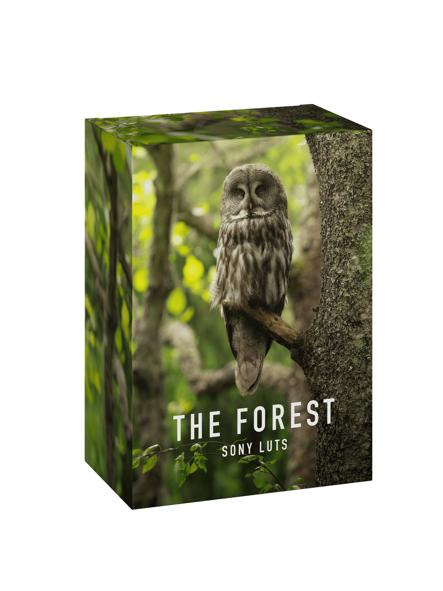 THE FOREST - SONY VIDEO LUTS