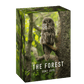 THE FOREST - SONY VIDEO LUTS