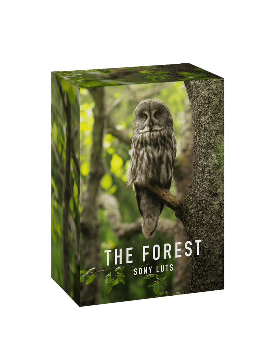 THE FOREST - SONY VIDEO LUTS